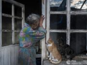 Лачин (фото дня)