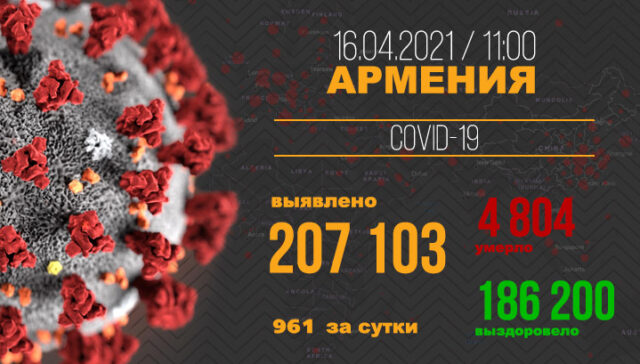 174041314_1447534348946253_2726992631763549184_n