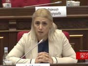 Суды в отдельных случаях применяют арест по политическому указанию — Элинар Варданян
