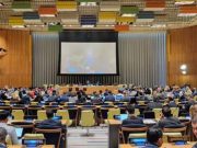 Армения избрана членом Комитета неправительственных организаций ООН
