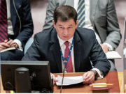 Россия проведет 11 июля встречу СБ ООН по теме нацизма на Украине