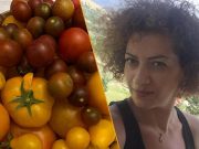 Анна Акопян выращивает помидоры на территории правительственного особняка