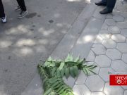 Граждане в ходе акции принесли к НС траву для депутатов ГД (видео)