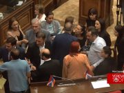 Депутаты ГД впали в истерику после выступления Гегама Манукяна