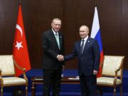 Путин и Эрдоган обсудили ситуацию вокруг зерновой сделки — СМИ