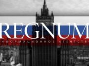 Главред Regnum заявил, что работу информационного агентства приостановили бессрочно