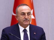 Чавушоглу поддержал план Киева из десяти пунктов по урегулированию