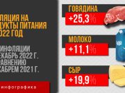 Насколько подорожали продукты питания в 2022 году (инфографика)
