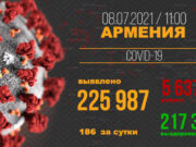 В Армении число выявленных случаев заражения COVID-19 достигло 225 987