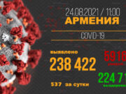 В Армении число выявленных случаев заражения COVID-19 достигло 238 422