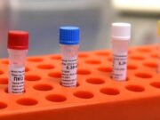 Статистика по коронавирусу в Армении на 17 апреля