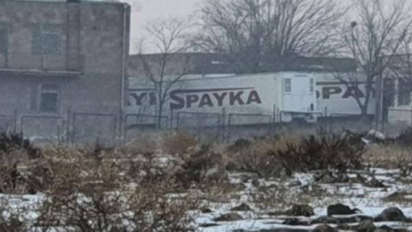 спайка